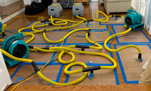 Professional Basement Flood Cleanup technician working in Bogue Chitto, MS